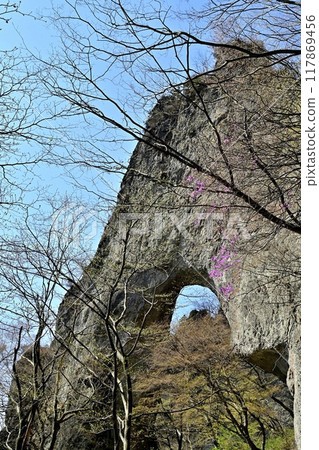 Mt. Myodai First Stone Gate and Rocky Peaks 117869456