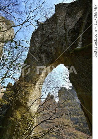 Mt. Myodai First Stone Gate and Rocky Peaks 117869467