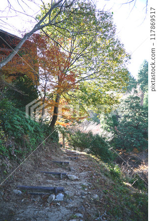 宮地山的秋葉美麗 宮地山的秋葉美麗 117869517