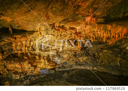 Inside Ryugasaki Cave (Hamamatsu City) 117869528
