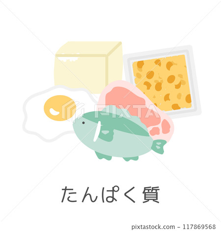 含有蛋白質插圖集的食物 含有蛋白質插圖集的食物 117869568