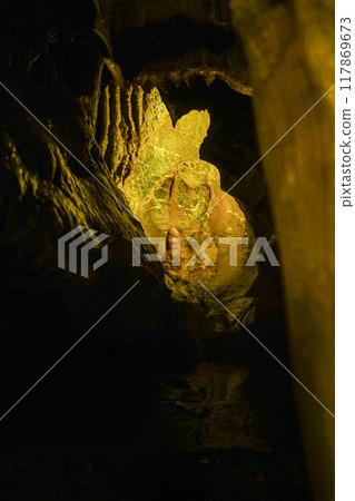Inside Ryugasaki Cave (Hamamatsu City) 117869673