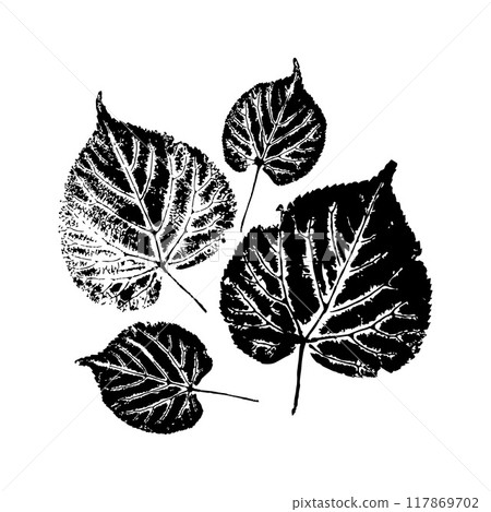 Four black and white leaf prints on a white background, showcasing intricate vein details. Concept of nature, simplicity, and elegance Four black and white leaf prints on a white background, showcasing intricate vein details. Concept of nature, simplicity, and elegance 117869702