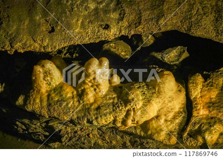 Inside Ryugasaki Cave (Hamamatsu City) 117869746