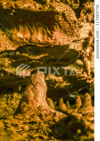 Inside Ryugasaki Cave (Hamamatsu City) 117869748