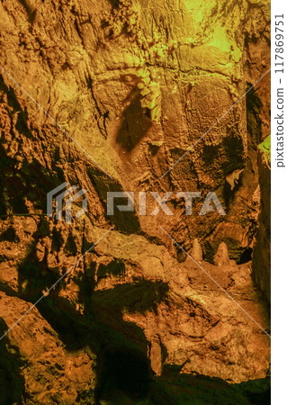 Inside Ryugasaki Cave (Hamamatsu City) 117869751