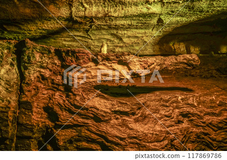 Crocodile Rock inside Ryugasaki Cave (Hamamatsu City) Crocodile Rock inside Ryugasaki Cave (Hamamatsu City) 117869786