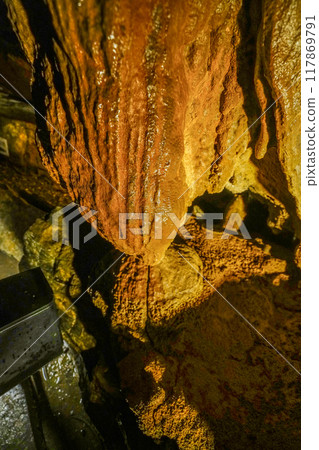 Ryugaiwa Cave (Hamamatsu City) Inside the cave: Loofah Flowstone 117869791