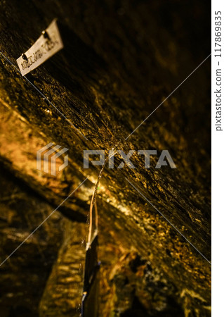 Ryugaiwa Cave (Hamamatsu City) Inside the cave: Fountain of Heavenly Blessings 117869835