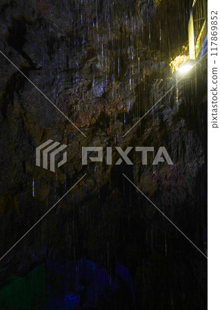 Golden Waterfall inside Ryugasaki Cave (Hamamatsu City) Golden Waterfall inside Ryugasaki Cave (Hamamatsu City) 117869852