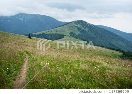 Low Tatras mountain scenery, Slovakia 117869909