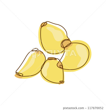 Healthy Food Ingredient White Garlic Cloves Vegetable in Line Art Design 117870052