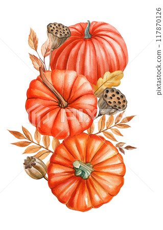 Pumpkin, flowers, leaves isolated white background, watercolor botanical illustration hand drawing autumn poster, card 117870126