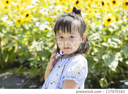 girl playing in a sunflower field girl playing in a sunflower field 117870162