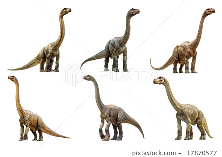 Brachiosaurus Collection Bundle Set Isolated on a Transparent Background 117870577