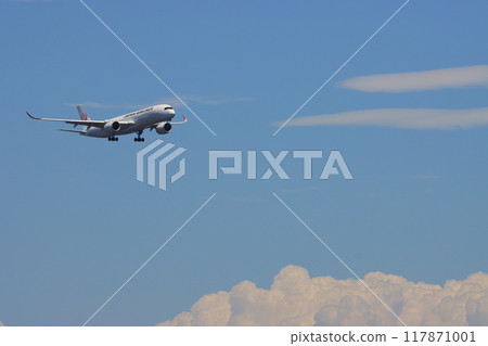 Passenger plane flying in the summer sky Passenger plane approaching landing against the background of summer clouds Passenger plane flying in the summer sky Passenger plane approaching landing against the background of summer clouds 117871001