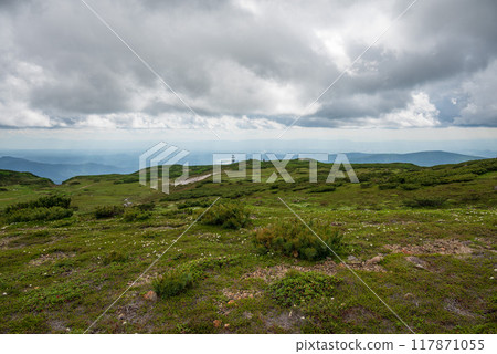 A view of the lower world beneath the clouds from a hiking trail among blooming alpine plants 117871055