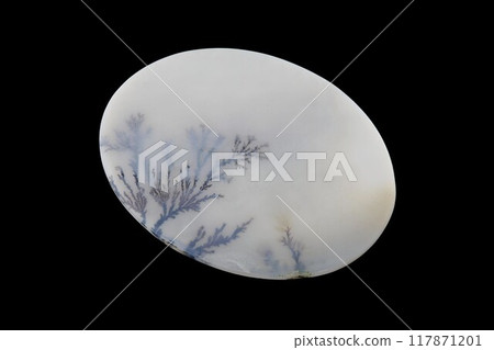 Dendritic Agate A stone that harbors landscapes Dendritic Agate A stone that harbors landscapes 117871201