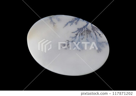 Dendritic Agate A stone that harbors landscapes Dendritic Agate A stone that harbors landscapes 117871202