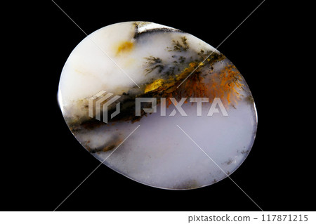Dendritic Agate A stone that harbors landscapes 117871215