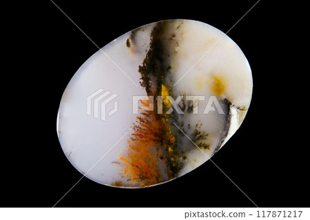 樹枝狀瑪瑙 蘊含風景的石頭 樹枝狀瑪瑙 蘊含風景的石頭 117871217