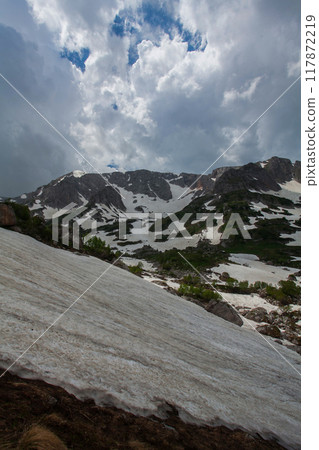 A Mountaintop View of Summer Snow A Mountaintop View of Summer Snow 117872219