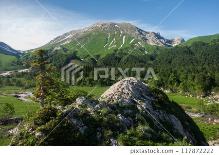 A Lush Mountain Valley in the Caucasus 117872222
