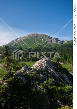 A View of Fisht Mountain A View of Fisht Mountain 117872223