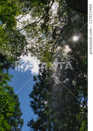 Seeking coolness at a waterfall in Mikata County, Hyogo 117872469