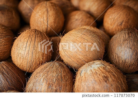 Texture of fresh coconuts, closeup. Generative AI. 117873070