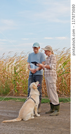 Two farmers discussing farm management using a tablet, with a Golden Retriever sitting nearby in front of a cornfield. 117873080