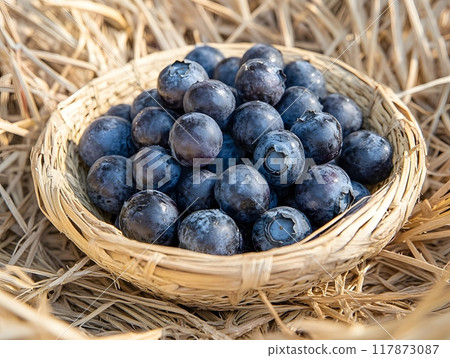 Blueberries in a straw plate, close-up. Generative AI. 117873087