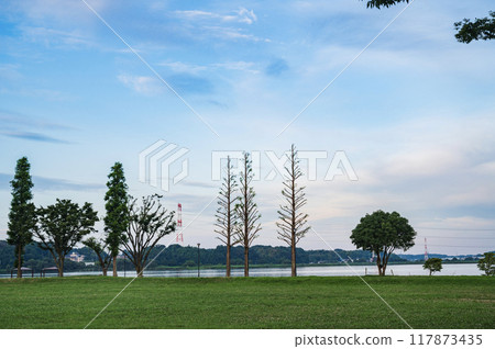 Chiba: Teganuma Park in the morning Chiba: Teganuma Park in the morning 117873435