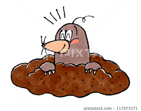 快樂鼴鼠 117873571