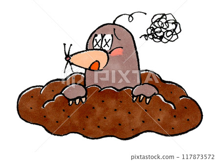 Mole Visits 117873572