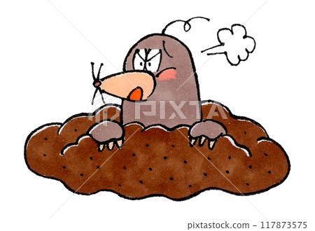 Angry Mole 117873575