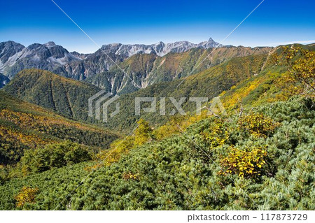 Autumn leaves from Ichinosawa to Mt. Daitenjo 117873729