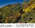 從紅葉滿布的一之澤到大天陽岳 117873735
