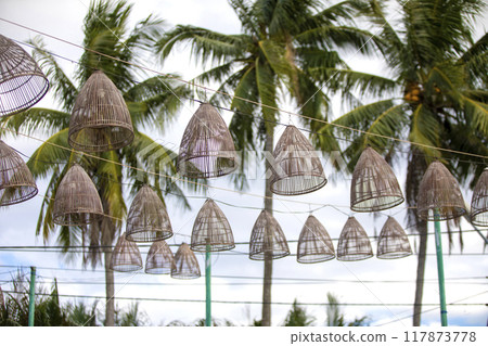 This is how palm trees grow in nature. This is how palm trees grow in nature. 117873778