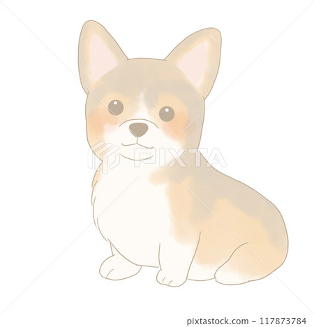 坐著的柯基犬的插圖 坐著的柯基犬的插圖 117873784
