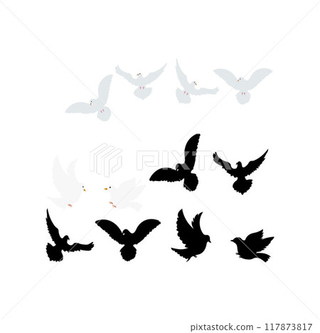 bird Dove silhouette 117873817