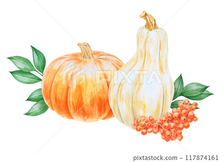 Orange and white pumpkins, rowan berries, green leaves illustration. Hand drawn watercolor isolated clip art with fall vegetables and plants for banner template, Halloween prints, farm goods packing Orange and white pumpkins, rowan berries, green leaves illustration. Hand drawn watercolor isolated clip art with fall vegetables and plants for banner template, Halloween prints, farm goods packing 117874161