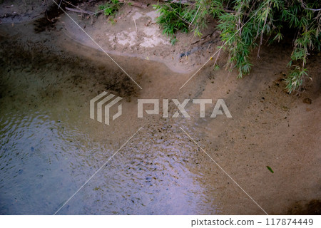 landscape reflected on the river 117874449