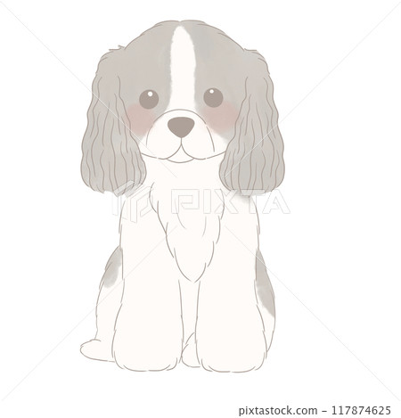 坐著的美國可卡犬的插圖 坐著的美國可卡犬的插圖 117874625