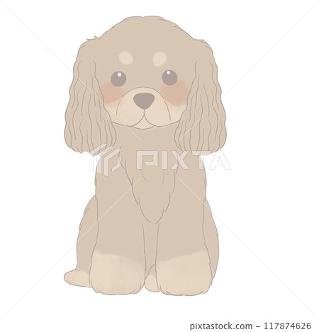 坐著的美國可卡犬的插圖 坐著的美國可卡犬的插圖 117874626