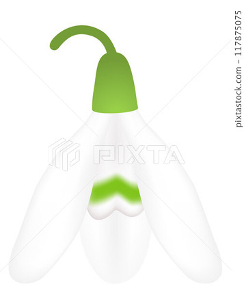 Snowdrop flower isolated on white background, design element. 117875075