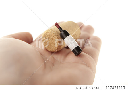 image of wine bottle stopper hand white background image of wine bottle stopper hand white background 117875315