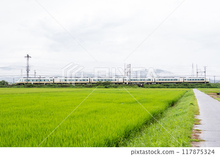 [Yamada Line] Limited express train running through a rainy rural landscape 117875324