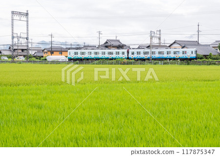 [Yamada Line] A local train running through a rainy rural landscape 117875347