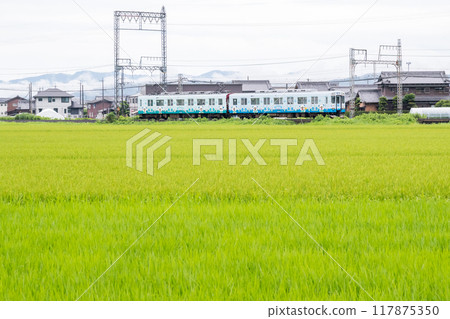 [Yamada Line] A local train running through a rainy rural landscape 117875350